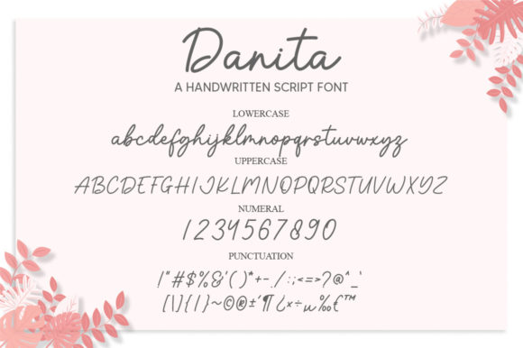 Danita Font - Preview 5