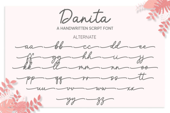 Danita Font - Preview 6