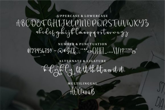 Gorgiel Font - Preview 5