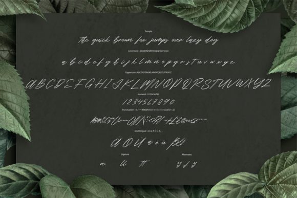 Rahilliey Font PNG with transparent background - Preview 5