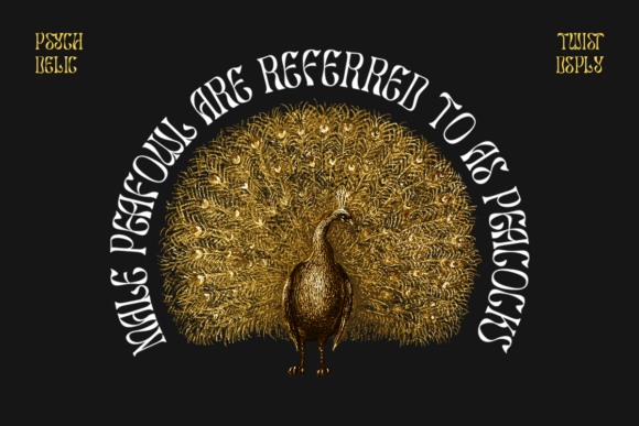 Salty Mussy Font PNG with transparent background - Preview 1