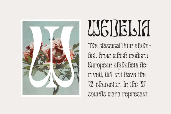 Salty Mussy Font PNG with transparent background - Preview 2