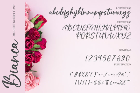 Bianca Font - Preview 4