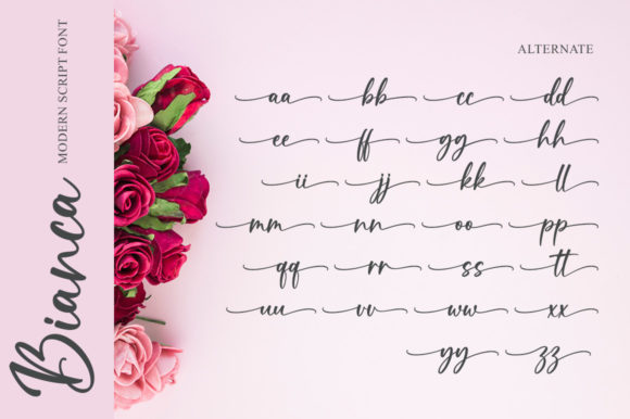 Bianca Font - Preview 5