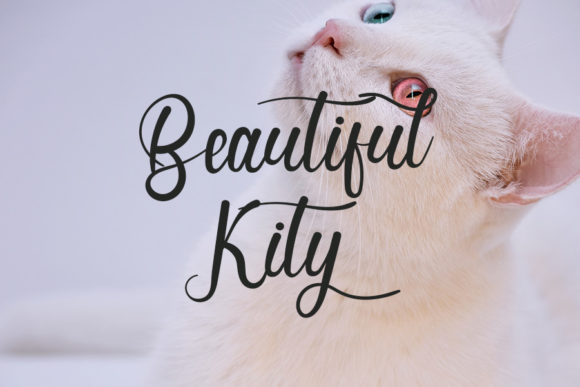 Enjoyment Font PNG with transparent background - Preview 3