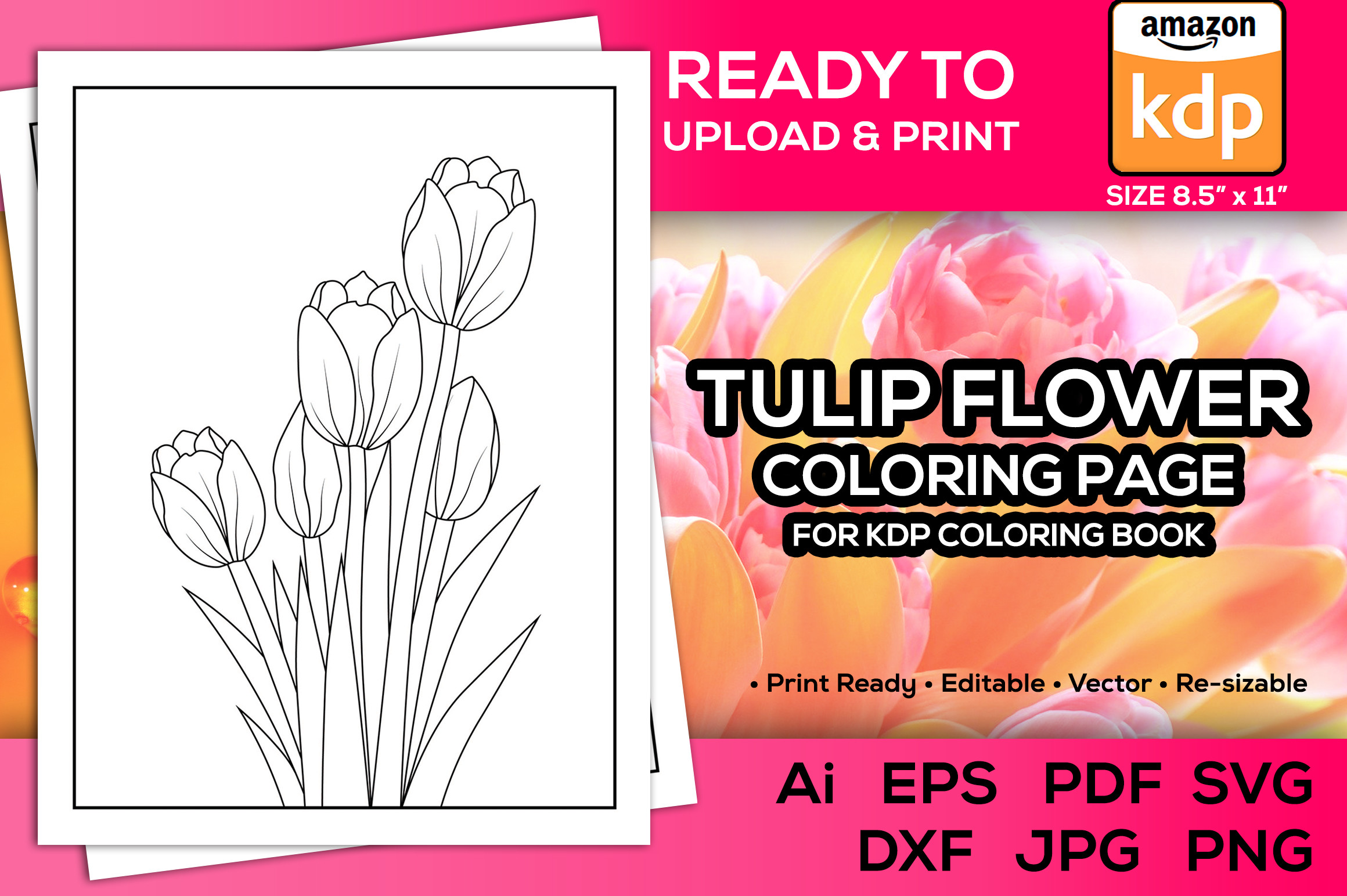 Tulip Flower Coloring Pages Kdp Pdf Book Graphic by TeamlancerBD ...