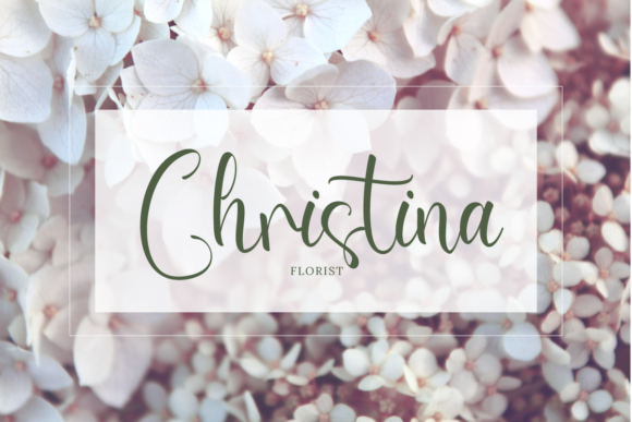 Alondra Shayna Font - Preview 2