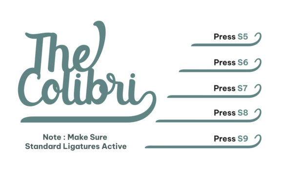 Creative Script Font - Preview 4