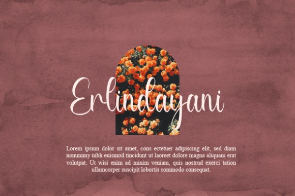 Rayne Susan Font PNG with transparent background - Preview 6