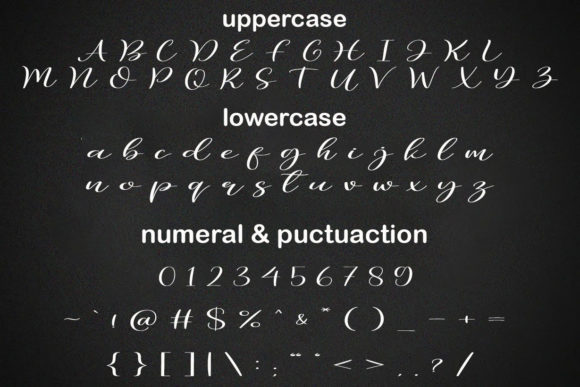 Adina Elodie Font - Preview 6