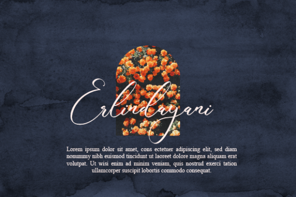 Ashanti Stephanie Font - Preview 6