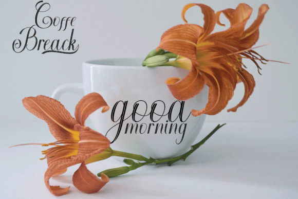 Belgalyn Font - Preview 6