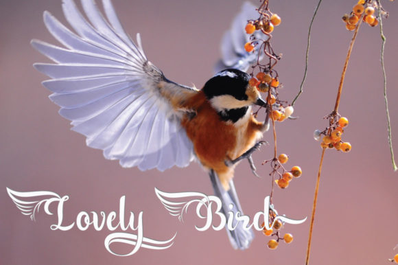 Angel Font - Preview 4
