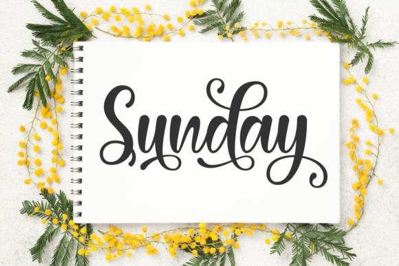 Bainbridge Beautiful Font - Preview 1
