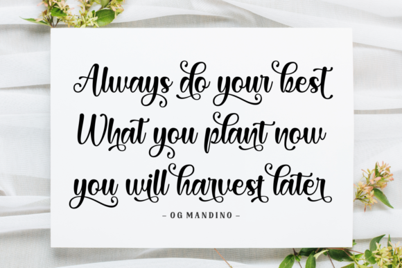 Bainbridge Beautiful Font - Preview 5