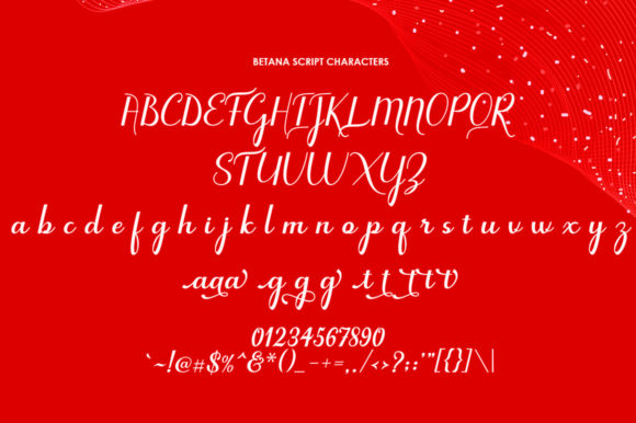 Betana Script Font - Preview 3