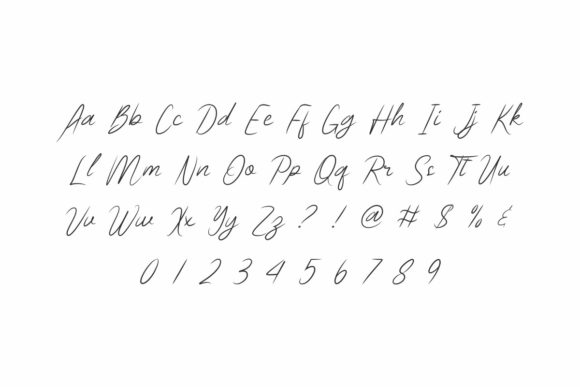 Biographical Font - Preview 2