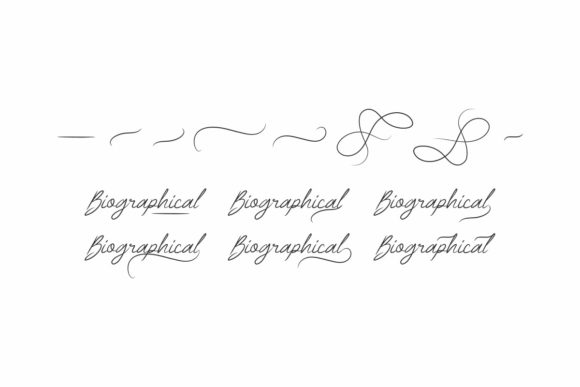 Biographical Font - Preview 6