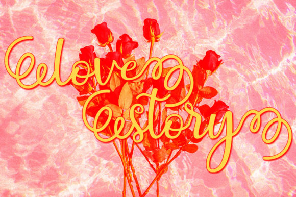 Blush Script Font - Preview 1