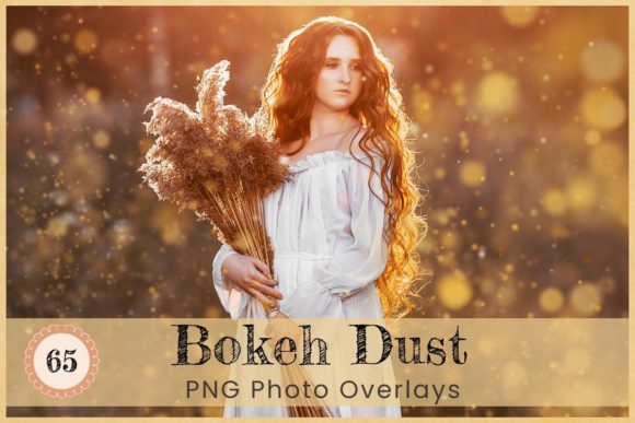 Bokeh Dust Photoshop Overlay Digital Art