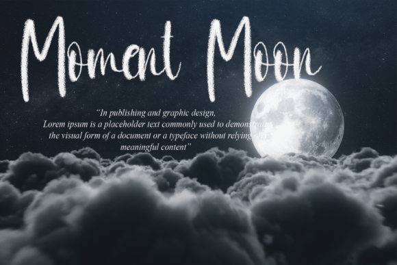 Brush Signature Font - Preview 3