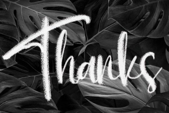 Brush Signature Font - Preview 4