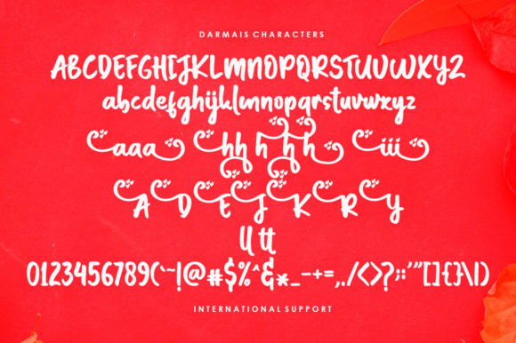 Darmais Script Font - Preview 3