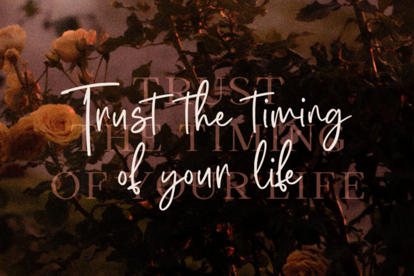 Millea Beatrice Font PNG with transparent background - Preview 5