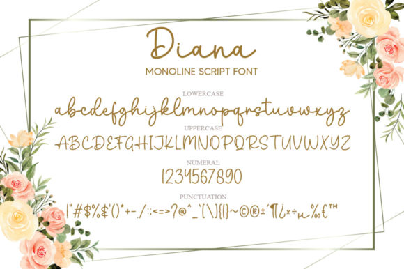 Diana Font - Preview 4