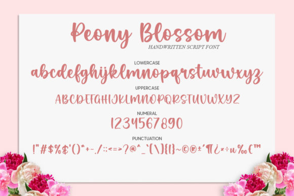 Peony Blossom Font PNG with transparent background - Preview 4