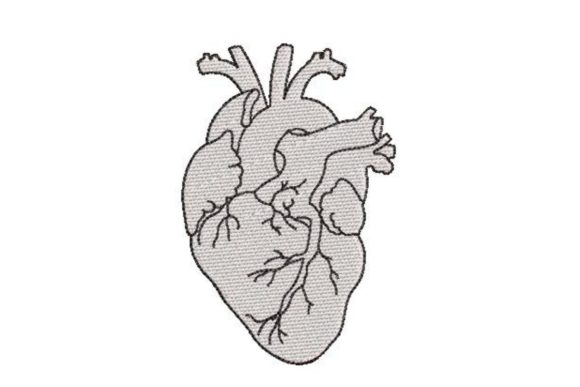 Realistic Heart Line Art