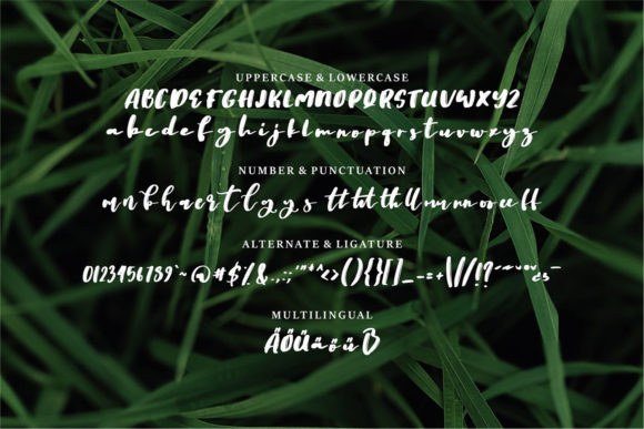 Began Font - Preview 5
