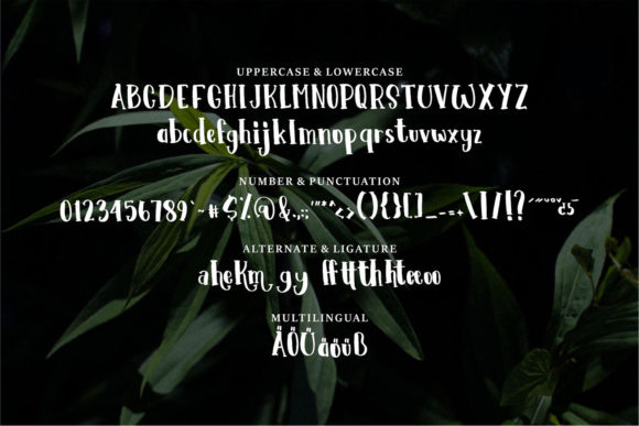 Bikest Font - Preview 5