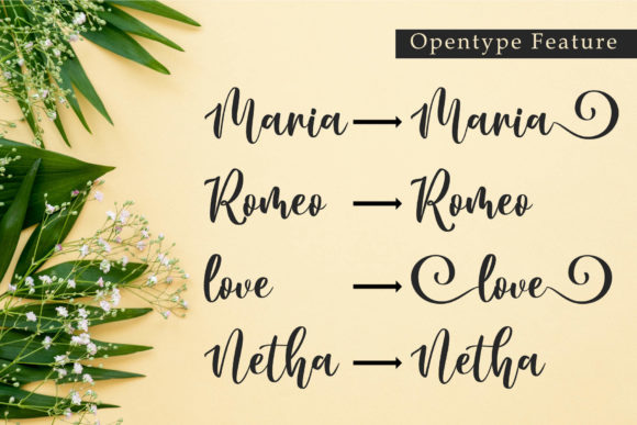 Cambrina Font - Preview 5