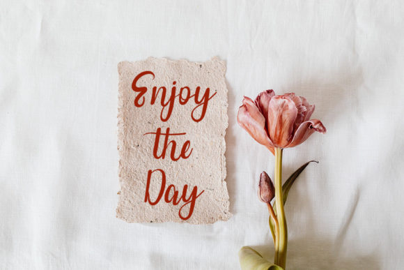 Daisy Plants Font PNG with transparent background - Preview 1