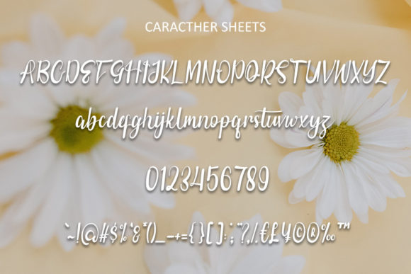 Daisy Plants Font PNG with transparent background - Preview 4