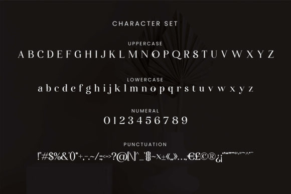 Dillhena Font - Preview 5