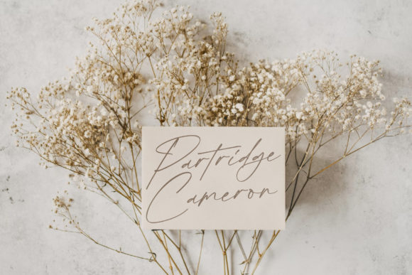 Bellamy Stevenson Font - Preview 1
