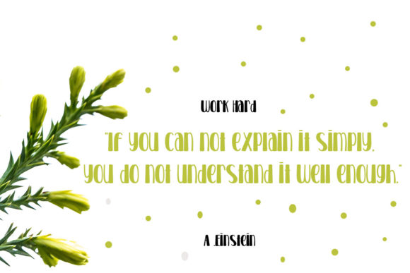 House Chick Font - Preview 3