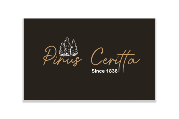 Mandalletta Font PNG with transparent background - Preview 3