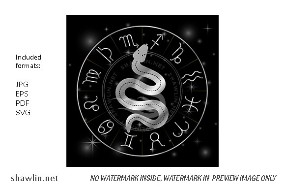 Zodiac symbols astrology signs silver