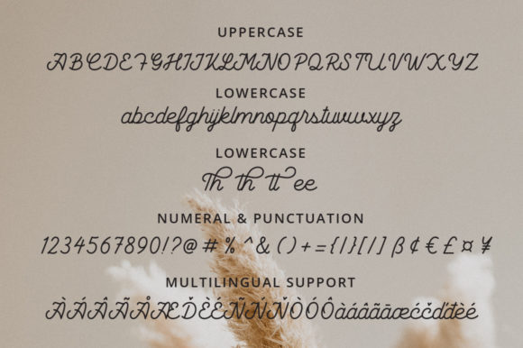 Bathavia Font - Preview 4