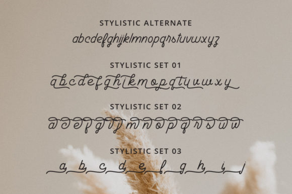 Bathavia Font - Preview 5