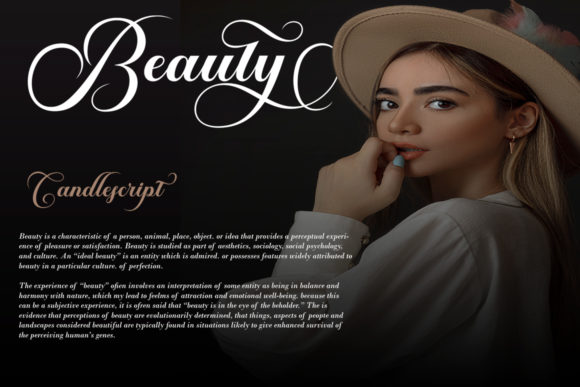 Brailganta Script Font - Preview 1