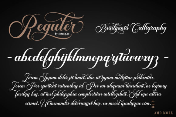 Brailganta Script Font - Preview 2