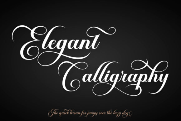 Brailganta Script Font - Preview 5