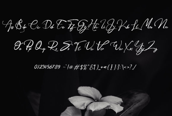 Black Outs Font - Preview 1