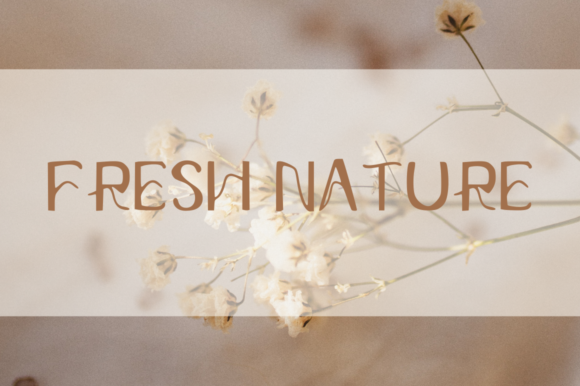 Couline Font - Preview 1