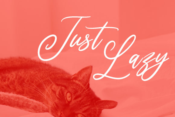 Bartelly Script Font - Preview 3