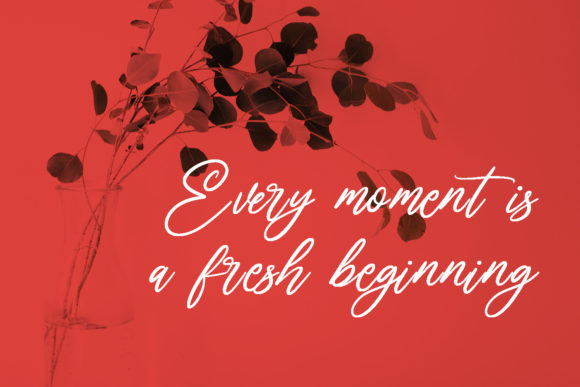Bartelly Script Font - Preview 4